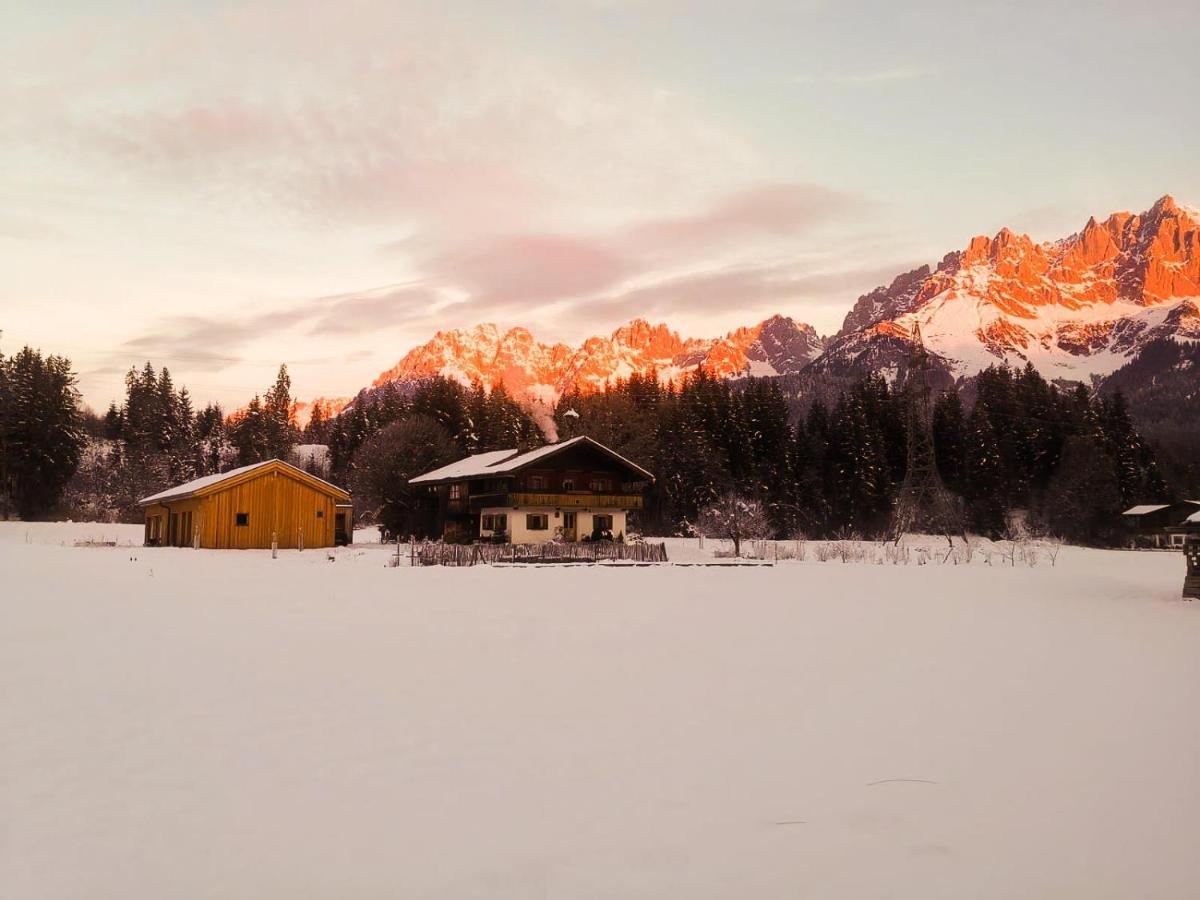 Going Artenreich Going am Wilden Kaiser Kültér fotó